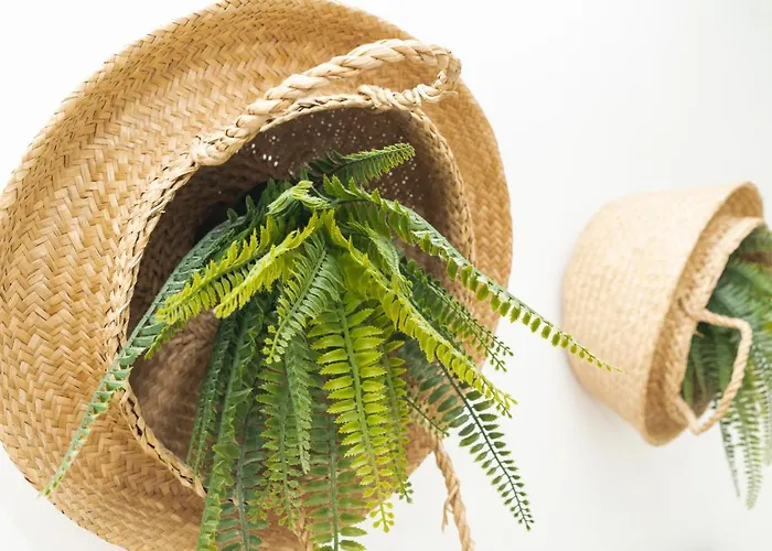 Picnic Dreams Boutique Hostel Málaga